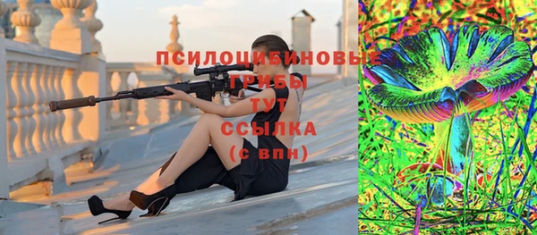 дживик Балахна