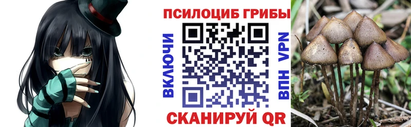 что такое наркотик  Вилючинск  Псилоцибиновые грибы мухоморы 